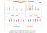 create professional microsoft excel spreadsheets and reports